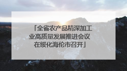 全省农产品精深加工业高质量发展推进会议在绥化海伦市召开